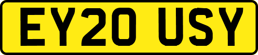 EY20USY