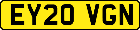 EY20VGN