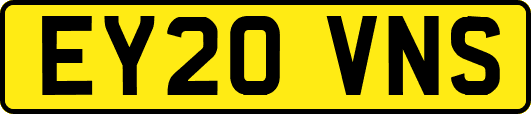 EY20VNS