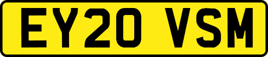 EY20VSM