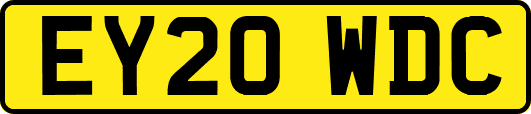 EY20WDC