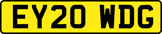 EY20WDG