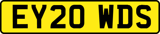 EY20WDS
