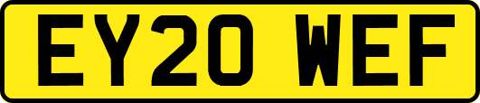 EY20WEF