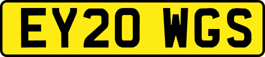 EY20WGS