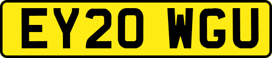 EY20WGU