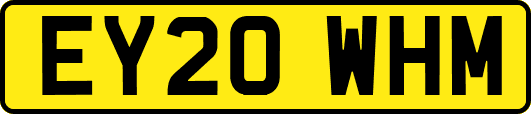 EY20WHM