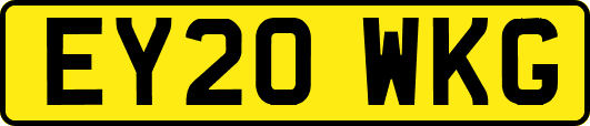 EY20WKG