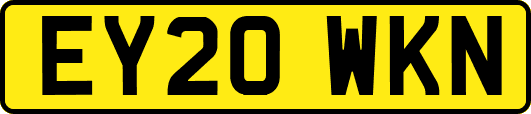 EY20WKN