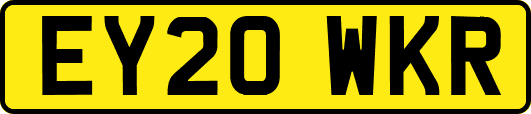 EY20WKR