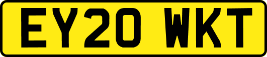 EY20WKT