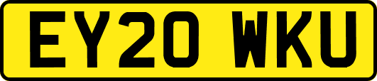 EY20WKU