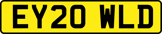 EY20WLD