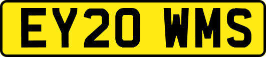EY20WMS