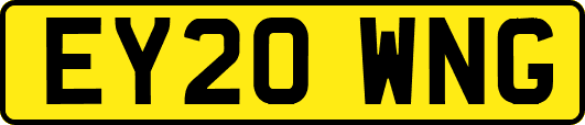 EY20WNG