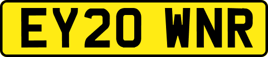 EY20WNR