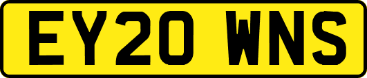 EY20WNS
