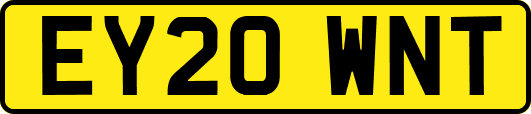 EY20WNT