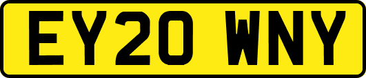 EY20WNY