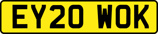 EY20WOK