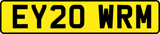 EY20WRM
