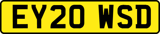 EY20WSD