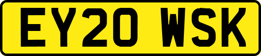 EY20WSK