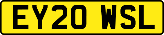 EY20WSL