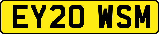 EY20WSM
