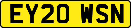 EY20WSN