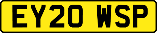 EY20WSP