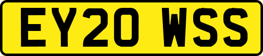 EY20WSS