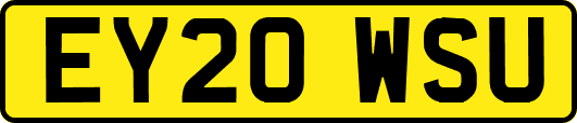 EY20WSU