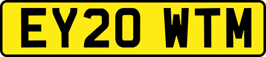 EY20WTM