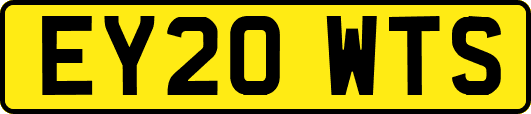 EY20WTS