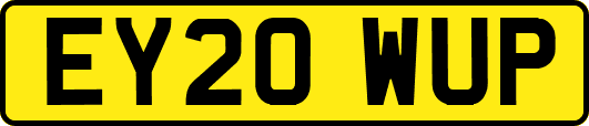 EY20WUP