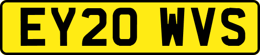 EY20WVS