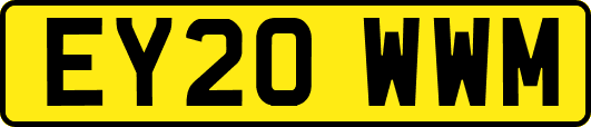 EY20WWM