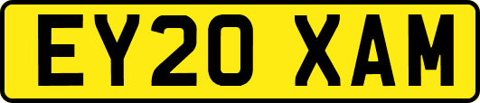EY20XAM