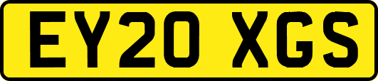 EY20XGS