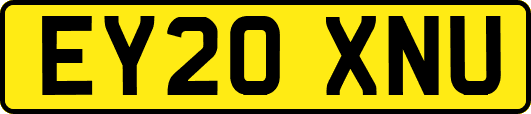 EY20XNU