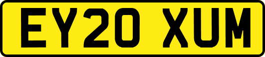 EY20XUM