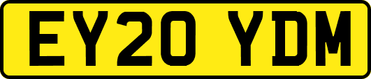 EY20YDM