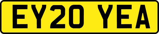 EY20YEA