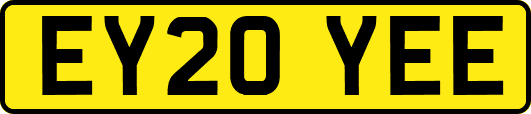 EY20YEE