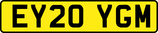 EY20YGM