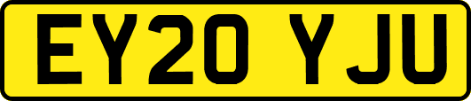 EY20YJU