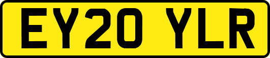 EY20YLR