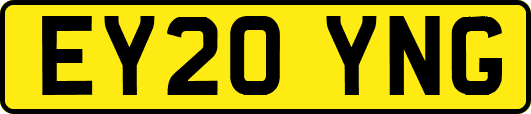 EY20YNG