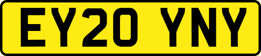 EY20YNY